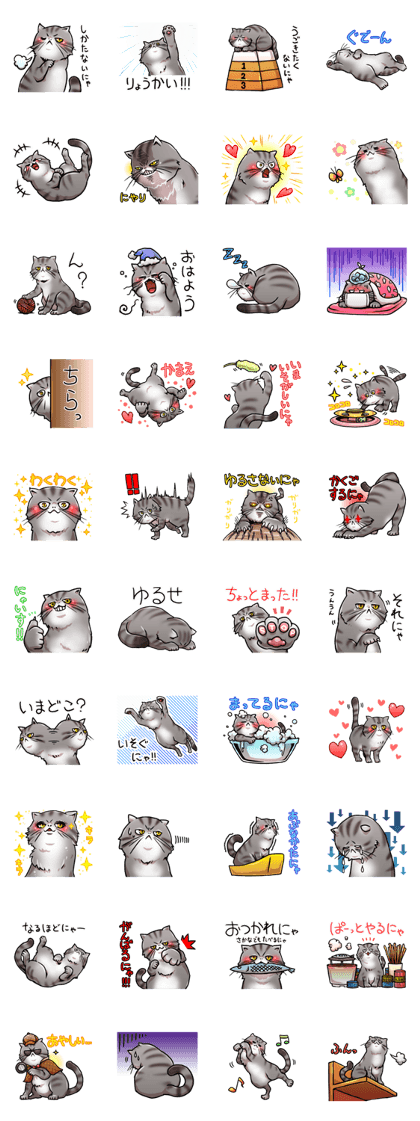Exotic short hair<Cat sticker>
