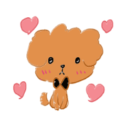 Mocha Mocha of the toy poodle