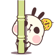 RABYPAN & PYOPYO