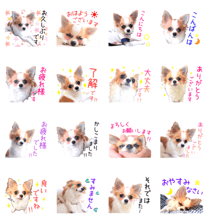 my dog hana honorific