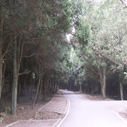 Jia Yuan