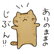chatora cats sticker