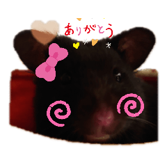 kurosuke_20201205190901