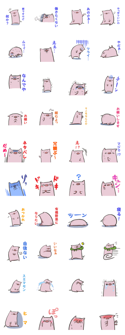 hikutuna buta2