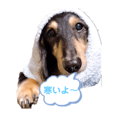 SAYURI_20201205212352