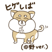 Shiba-dog,NAKANO