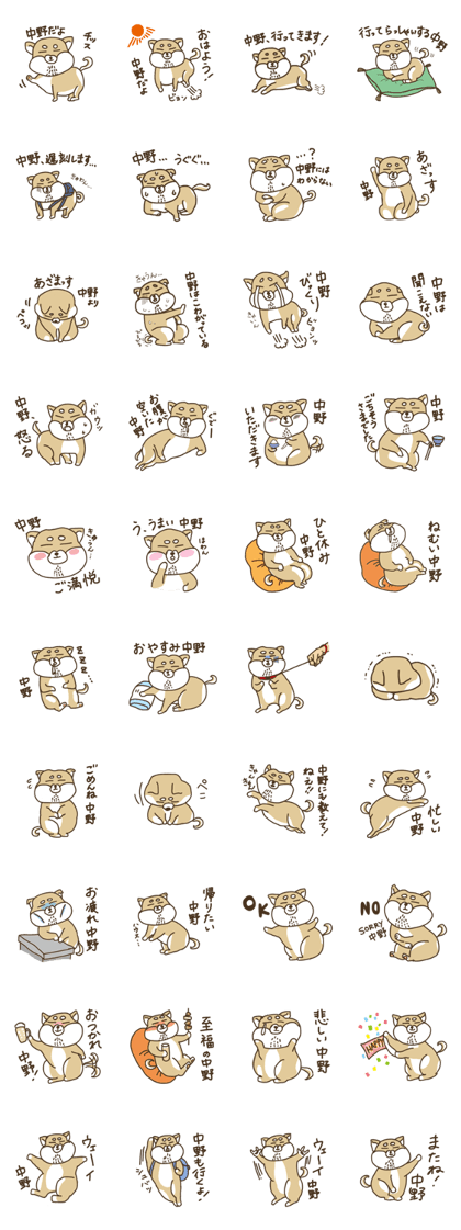 Shiba-dog,NAKANO