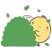 Yellow Chick Life