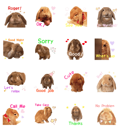 Bunny Hollandlop Daichan English Ver.