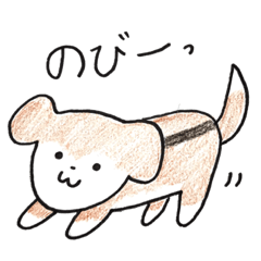 fuyuchan