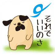 An old dog