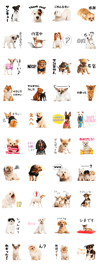Dog Photo Stickers 02