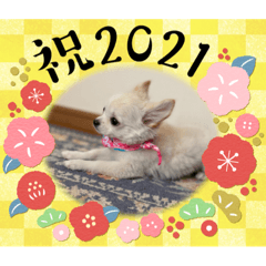 Kaho_20201205200348