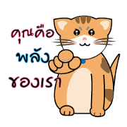 MeowMe Debut