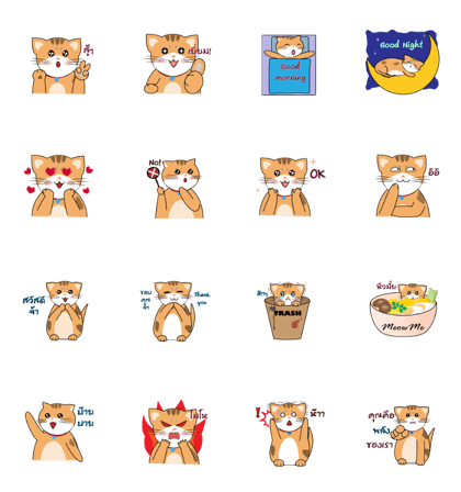 MeowMe Debut