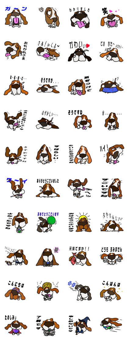 Basset hound 12(dog)