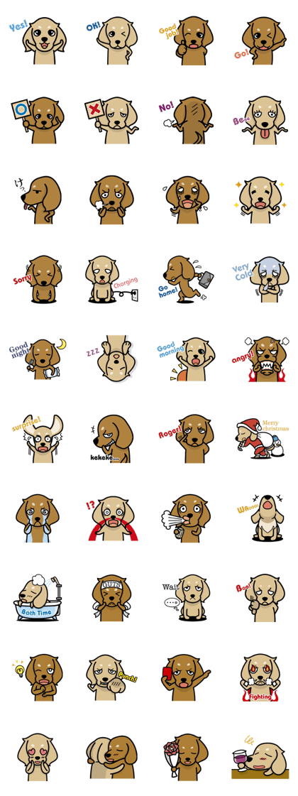 Dachs shop2