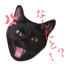 risa_20201205192018