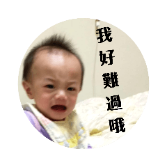 柴柴八個月