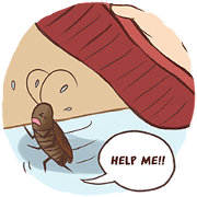 Cockroach Stickers