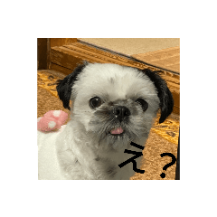 Yamada_20201206103106