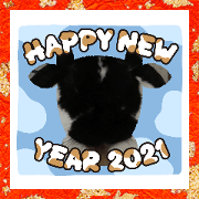 Cat rabbit8888