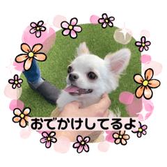 Kaho_20201206004431