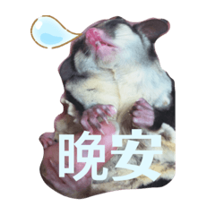 樂樂是女生part 1