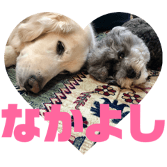 大きい犬と小さい犬2 Line スタンプ Line Store