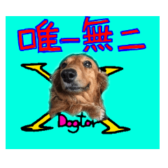 The dogtor-x