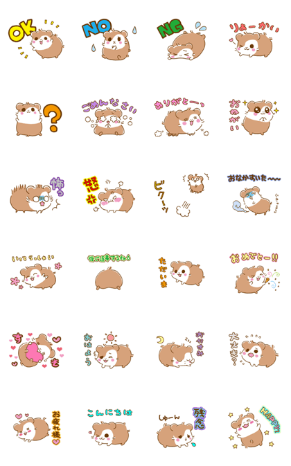 yuru Guinea pig "HAKU"