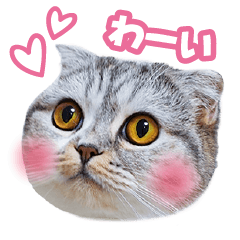 Cat guu Sticker