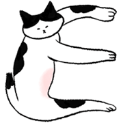 super cat writing