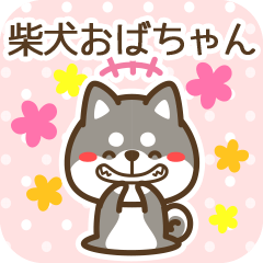 Obachan became Black Shiba