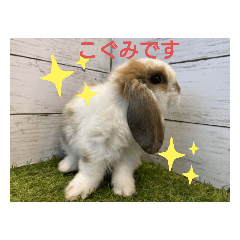 junko_20201206115025