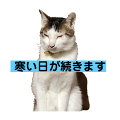 TOMOMI_20201205212730