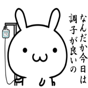 Flag rabbit 2