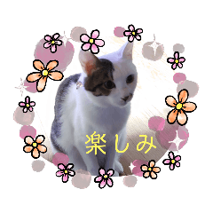 chie_20201206130029