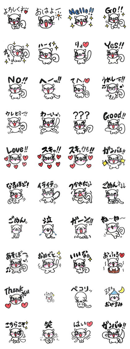 From a cute cat