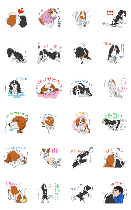 Cavalier ~ daily life ~