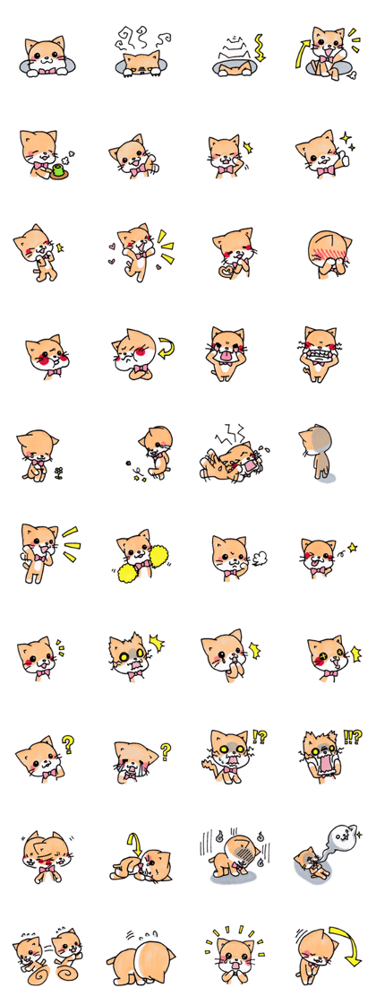 Brown cat SIRO 03