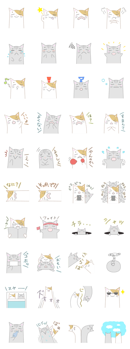 Cute eyes cats