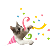 cat of cure congratulations Cheering