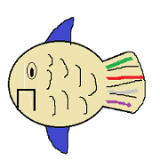 m-m fish