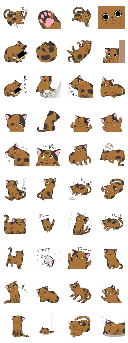 Tortoiseshell<Cat sticker>