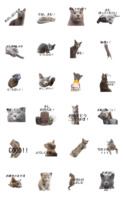 Graycatsticker2