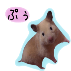 pretty hamster name is POO