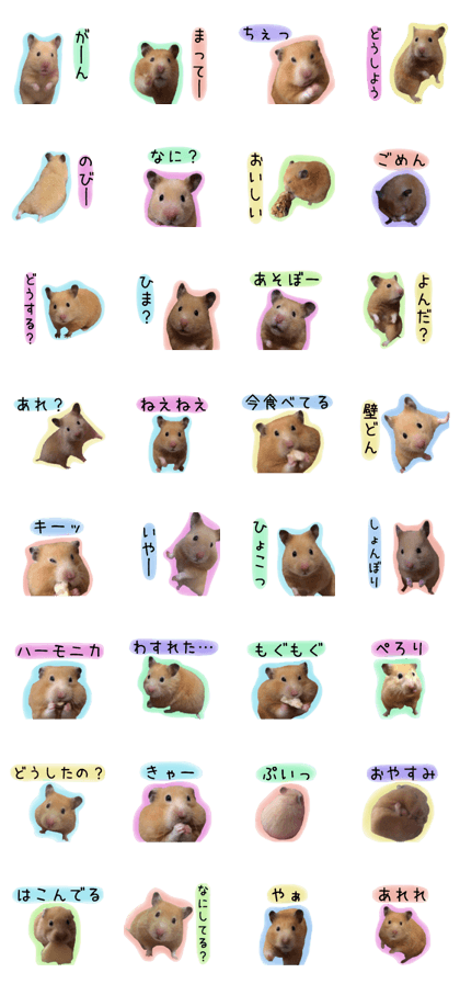 pretty hamster name is POO