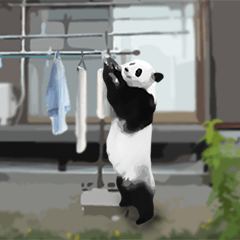 Happy panda-chan