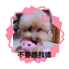 萌萌噠的Choco .2